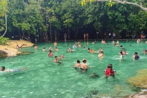 Krabi Emerald Pool & Tiger Cave Temple Tour 4