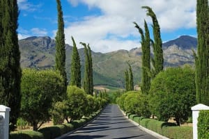 South Africa Premium Wine Experience 3