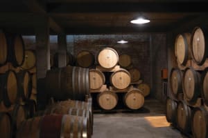 South Africa Premium Wine Experience 4