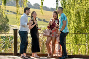 Franschhoek and Stellenbosch Wine Tour 4