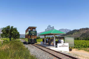 Franschhoek Wine Tram Experience 4