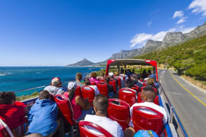 Cape Town Hop-On Hop-Off Tour with Wine Tasting 3