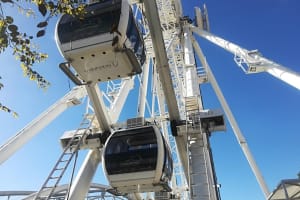 Cape Town Hop-On Hop-Off Bus Tour and Cape Wheel Combo 4