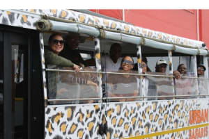 Cape Town Urban Safari: Hidden Alleys & Secret Spots 3