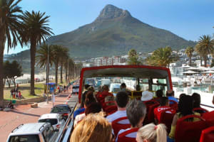 Cape Town Hop-On Hop-Off Bus & Duck Tour Combo 4