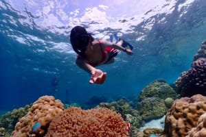 Khao Lak to Similan Islands Snorkeling Tour 4