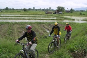 Chiang Mai Rice Fields Biking Tour 4