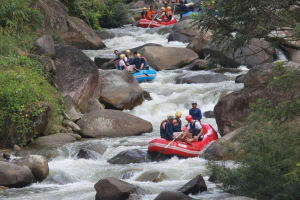 5km White Water Rafting and Jungle Tour 3