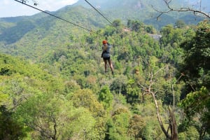 Skyline Jungle Luge Zipline Adventure 3