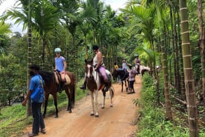 Phuket Scenic Horseback Riding Adventure 3
