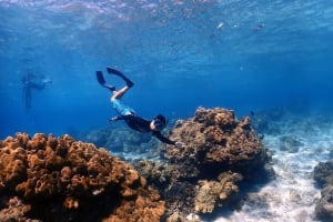 Phuket Dolphin Quest: Racha & Maiton Island Expedition 4