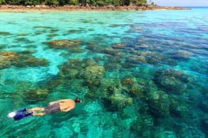 Surin Islands Snorkeling Adventure 3