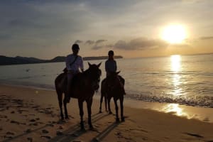 Phuket Beach Sunset Horseback Ride 3