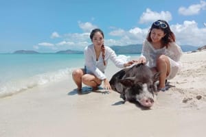Koh Madsum and Koh Tan Snorkeling Trip 4