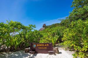 Phuket to Similan Islands Snorkeling Tour 3