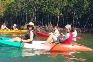 Sea Cave & Mangrove Kayaking Tour 3
