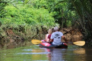 Little Amazon & Sri Phang Nga Waterfall Tour 3