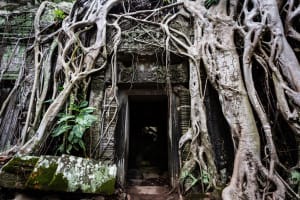 Private Angkor Temple Tour with Guide 3