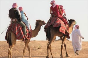 Qatar Desert Adventure: Camel Ride & Dune Bashing 3