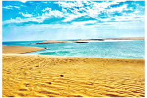 Qatar Desert Safari Adventure 4