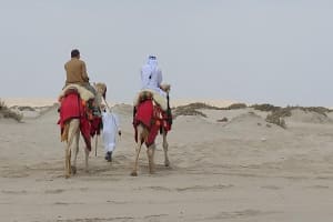 Doha City & Desert Safari Combo 4