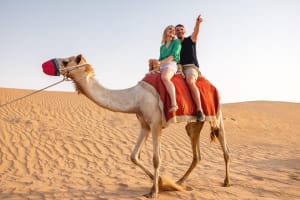 Doha Desert Adventure: Quad Biking & Camel Ride 3