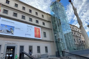 Private Guided Tour of Reina Sofia Museum 3