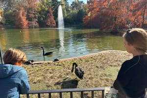Wonders of Madrid Family City Tour 4