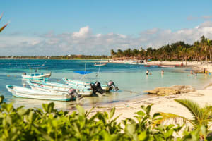 Private Turtles & Cenotes Adventure 3