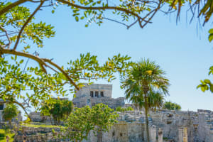 Private Tulum Ruins, Reef Snorkel & Cenote Adventure 3