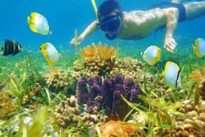Sharm el-Sheikh Snorkel & Camel Safari 4