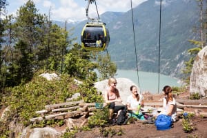 Whistler & Sea to Sky Gondola Tour 4