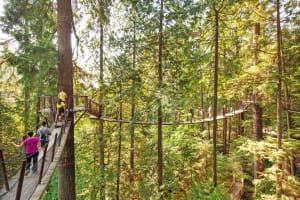Vancouver to Whistler Day Trip with Sea-to-Sky Gondola 4
