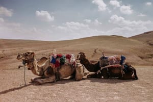 Agafay Desert 2-Day Adventure 4