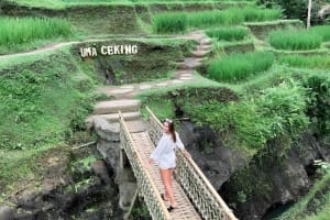 Ubud Jungle Swing & Waterfall Tour 4