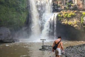 Ubud Day Tour: Sacred Monkey Forest, Tegenungan Waterfall, Rice Terrace 4