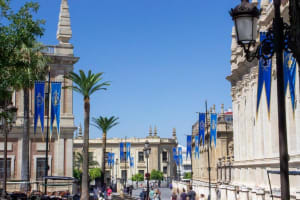 Seville Cathedral Guided Tour with Giralda Access 4