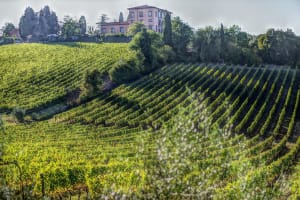 Tuscany Day Trip: San Gimignano, Siena & Winery 3
