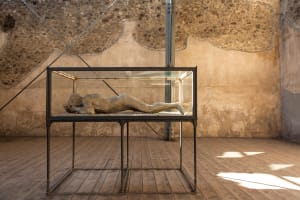 Pompeii & Mt. Vesuvius Day Tour from Naples with Pizza Lunch 3
