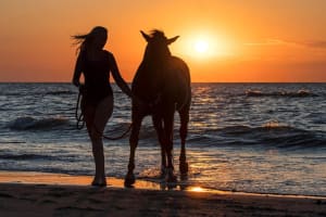 Casablanca Beach Horseback Riding Experience 3