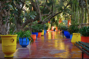 Majorelle Garden Entry Tickets 3