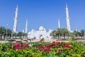 Abu Dhabi Day Tour with Ferrari Visit 3