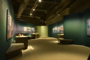 Private 4x4 Mleiha Dubai Trekking Experience with Museum Visit 4