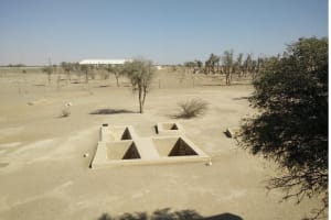 Mleiha Archaeological Desert Safari 3