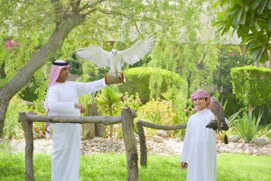 Sheikh Zayed Mosque & Falcon Hospital Tour 4