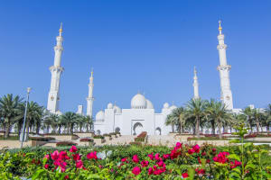 Abu Dhabi City Highlights Tour 3