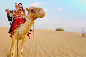 Extreme Desert Safari with Camel Ride and BBQ Dinner in Dubai 4