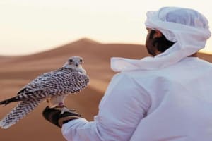 Private Red Dunes Desert Safari Dubai 3