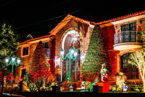 NYC Holiday Lights & Dyker Heights Tour 4