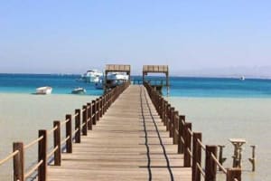 Snorkeling Adventure at Orange Bay and Giftun Islands 3